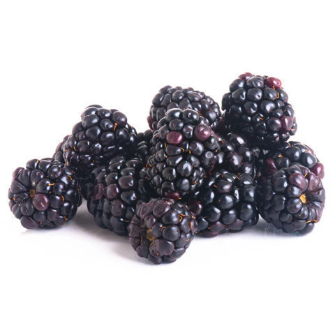 Fruit & Veg Wholesalers